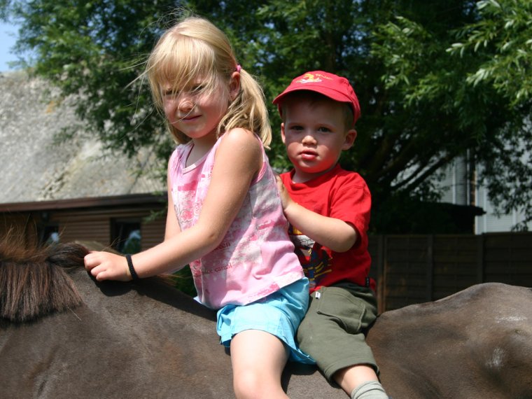 Kinder + Tiere